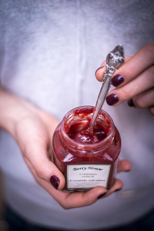 Willa Berry House Vigolo Vattaro Zewnętrze zdjęcie